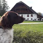 Pilznerhof *