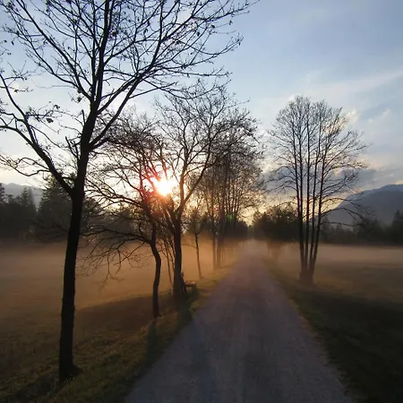 Lägenhet Pilznerhof *