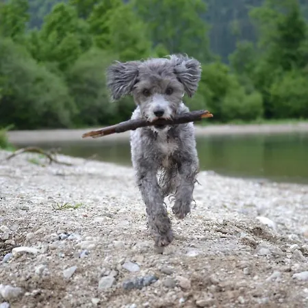 Pilznerhof Lägenhet Strobl