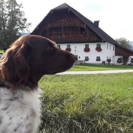 Pilznerhof *